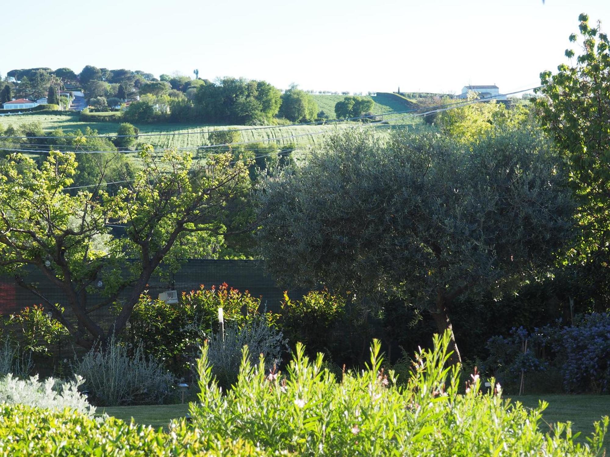 Bed and Breakfast Aura Relais Numana Exterior foto